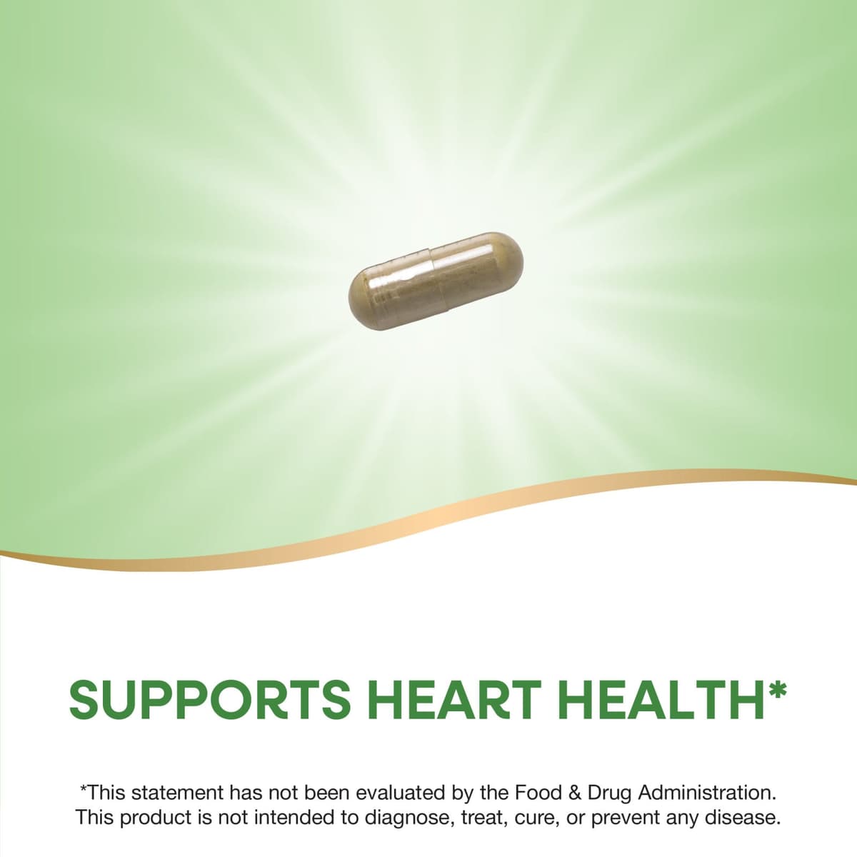 Nature's Way - Olive Leaf Premium Extract - 60 Caps