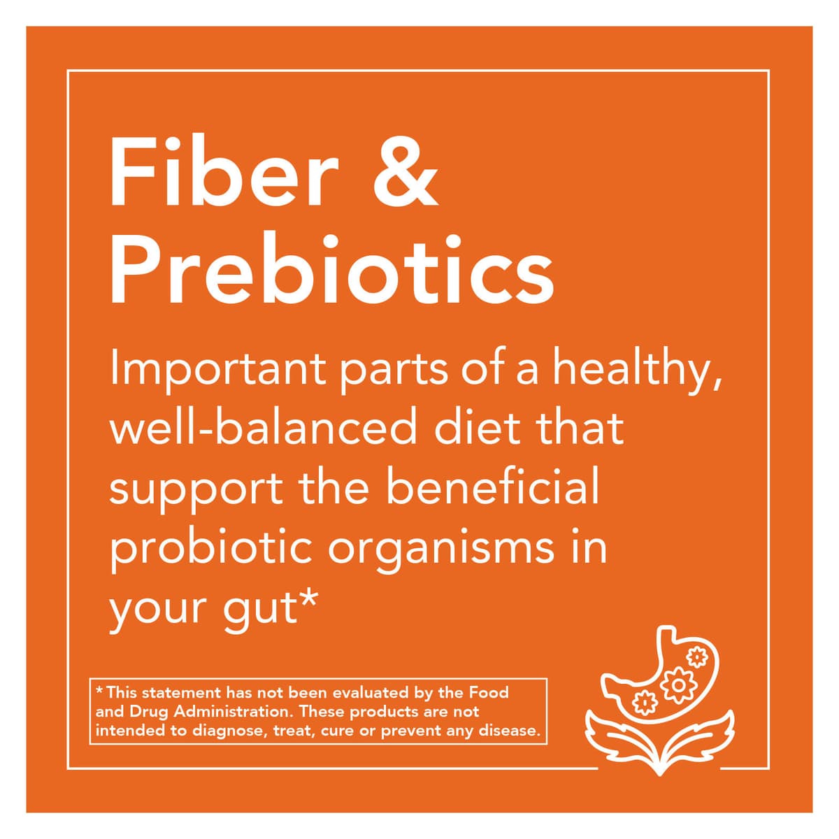 NOW Foods - Glucomannan From Konjac Root, Pure Powder - 227g