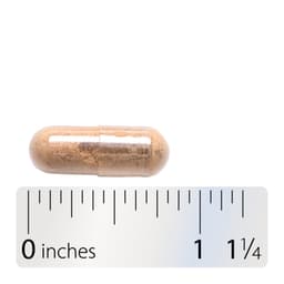 Nature's Way - Adrenergize - 50 Caps