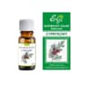 Etja - Cypress - 10ml