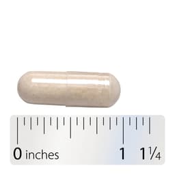 Nature'S Way - Extra Strength Vitamin C With Bioflavonoids - 100 Caps
