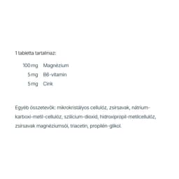 CaliVita MagneZi B6 - 90 tablettia
