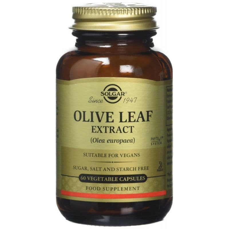 Solgar - Olive Leaf Extract - 60 Vegetable Capsules – Solgar förpackning