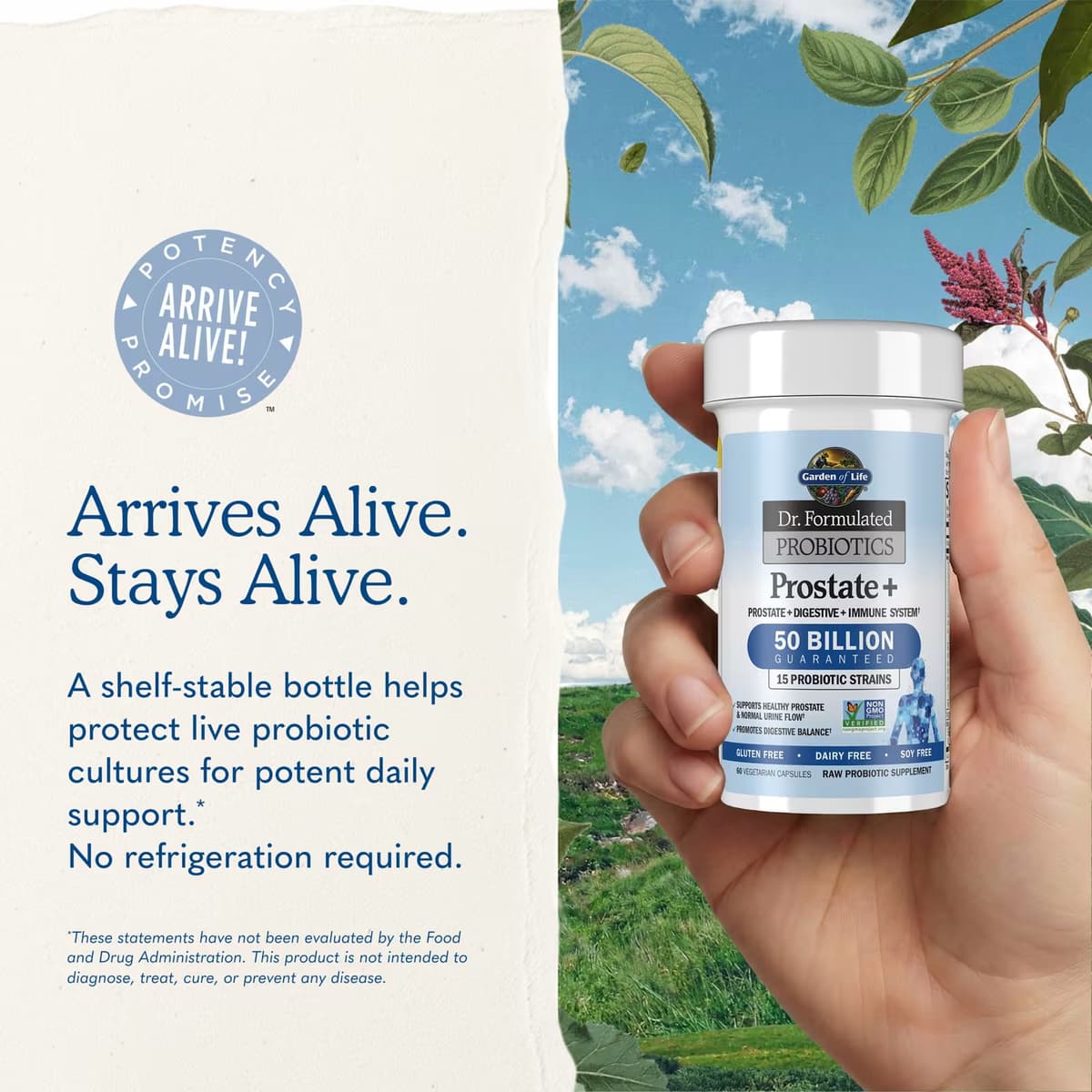 Garden of Life - Dr. Formulated Probiotics Prostate+
