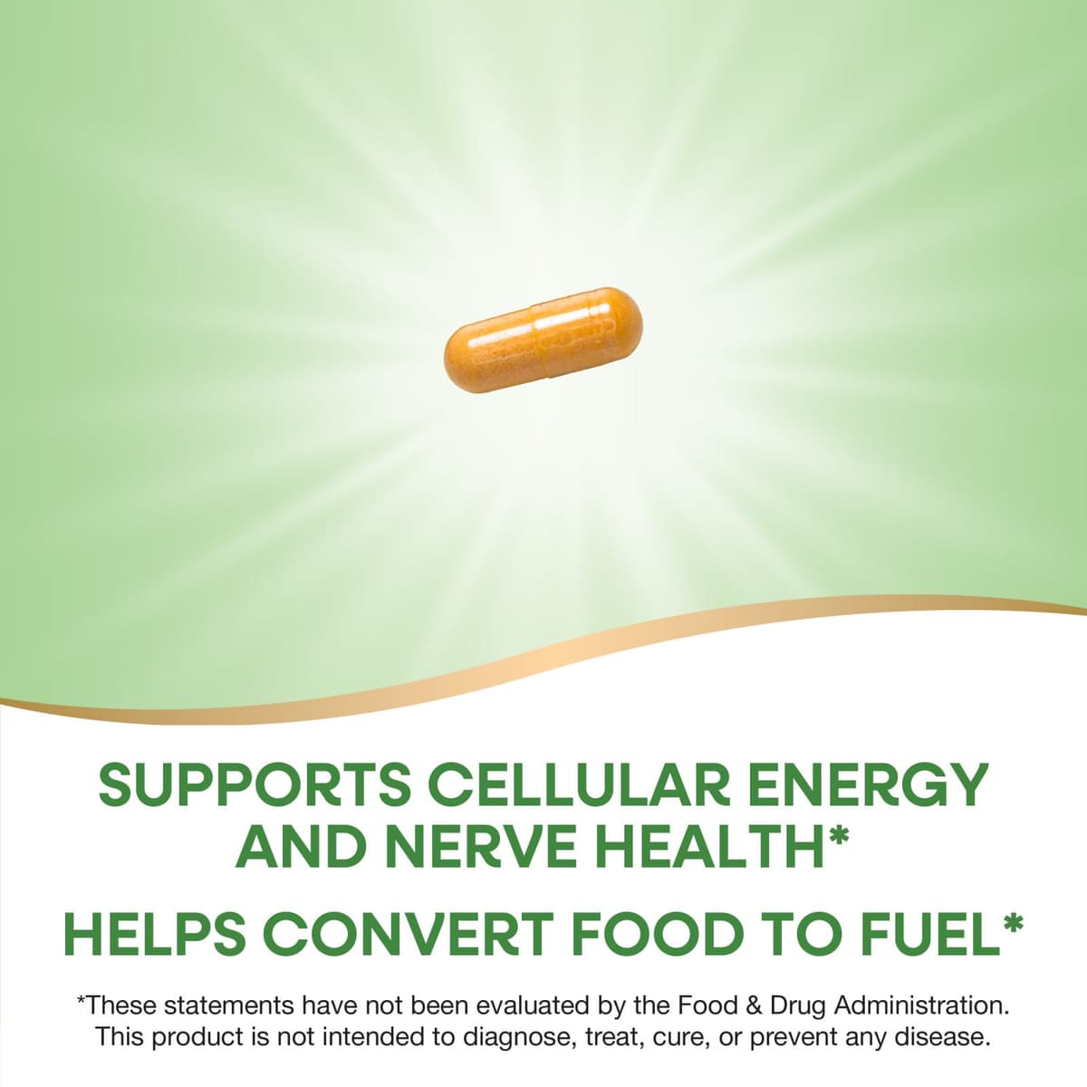 Nature'S Way - Vitamin B-100 Complex - 60 Caps