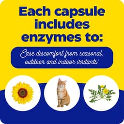 Enzymedica - Allerase - 60 Caps