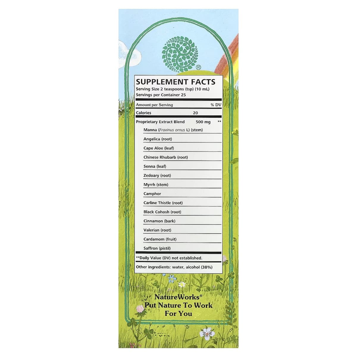 Natureworks - Swedish Bitters - 100ml