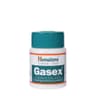 Himalaya Herbals - Gasex - 100 Tabletter