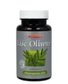 Meridian - Olive Leaf