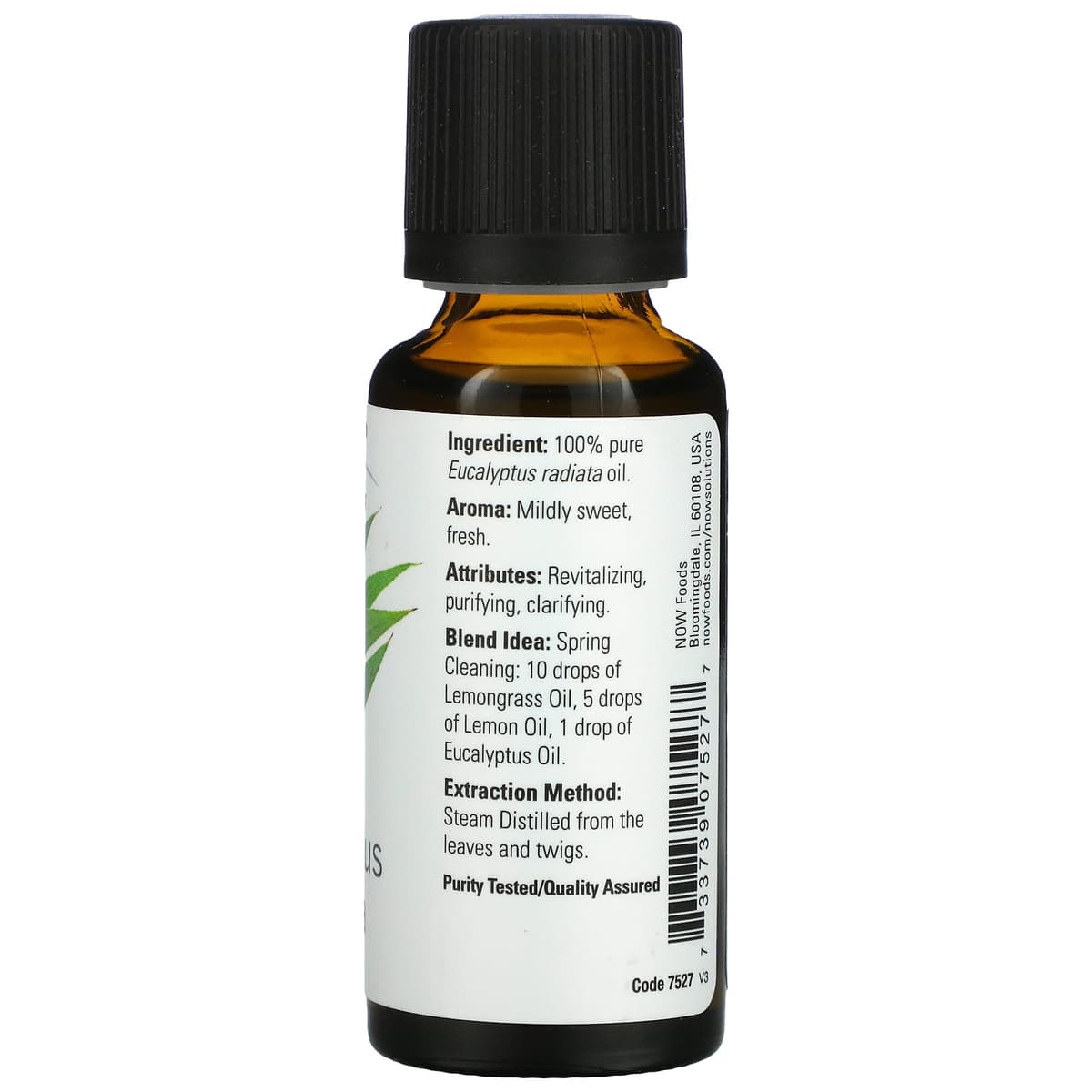 NOW Foods - Eukalyptus Radiata Öljy - 30ml