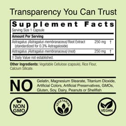 Nature's Answer - Astragalus Root - 500mg - 60 Vcaps