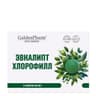 Golden Pharm - Eucalyptus Chlorophyll - 24 Tabs (500mg)