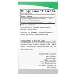 Nature's Answer - Astragalus Root - 500mg - 60 Vcaps