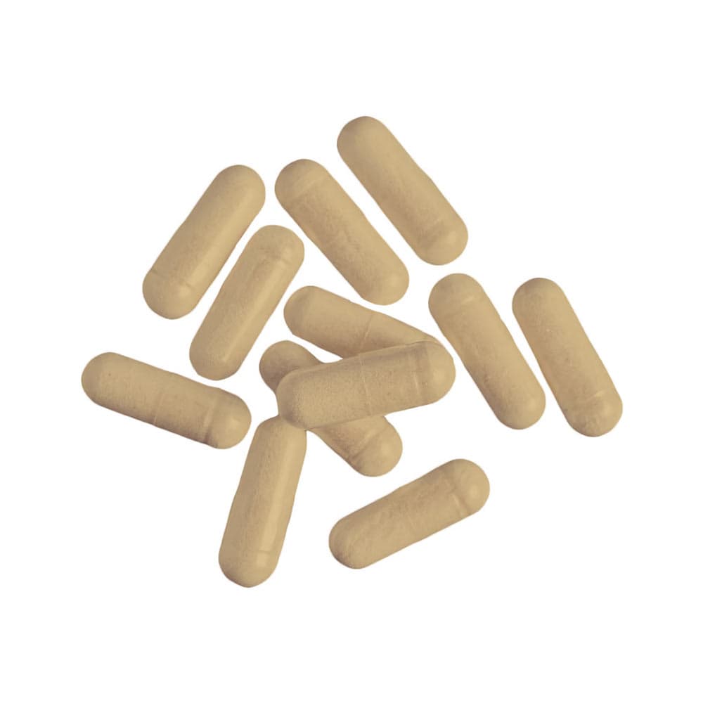 Nutrend - Tribulus terrestris Turbo - 120 kaps