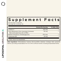 Codeage Liposomal Urolithin A - 60 Vcaps - 60 Vegetable Caps