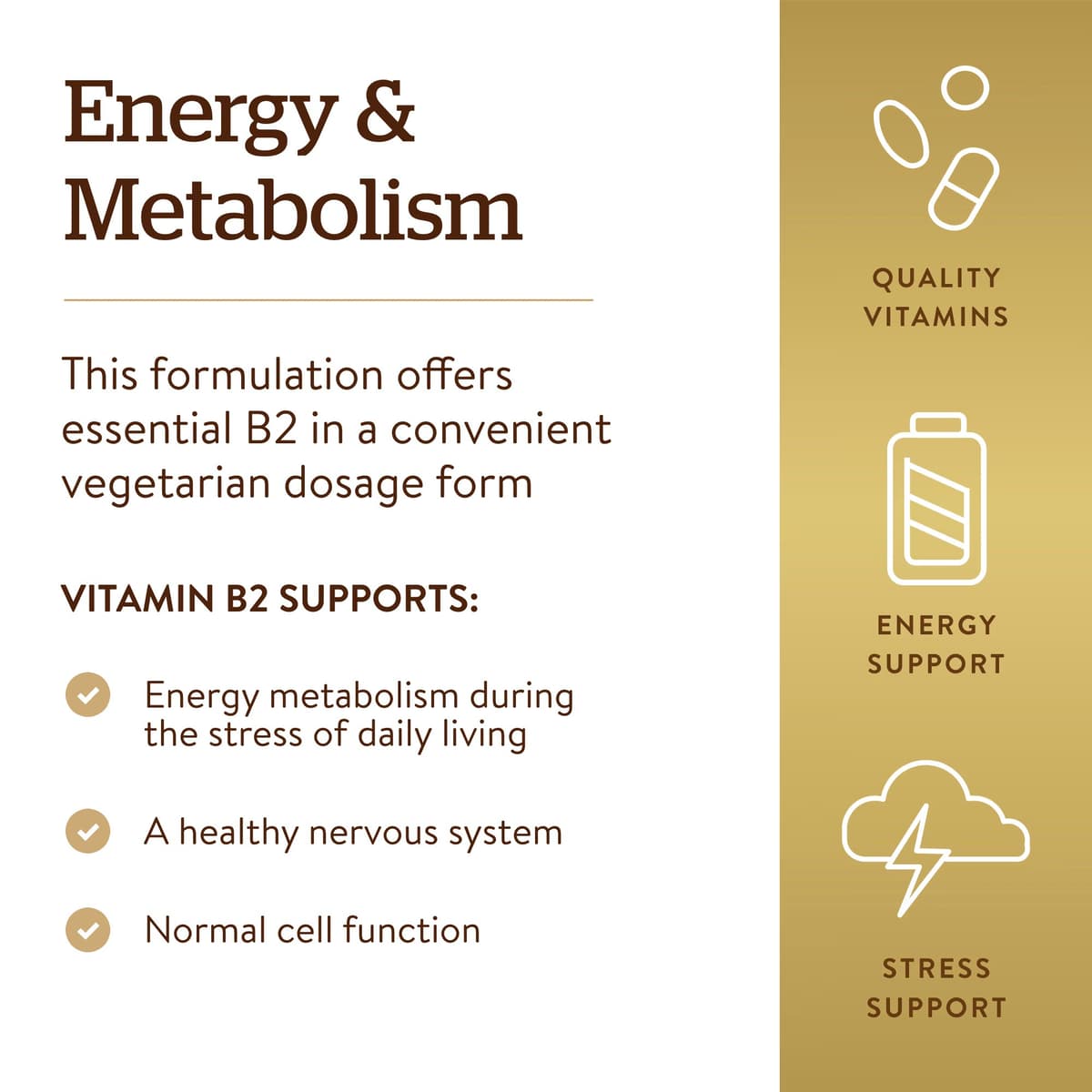 Solgar Vitamin B2 (Ribolfavin) 100mg (100 Caps)