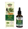 Royal Brand - Bio Pine Needle Extract (Pinus Sylvestris) - 50ml