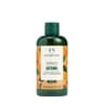 The Body Shop - Shower Gel
