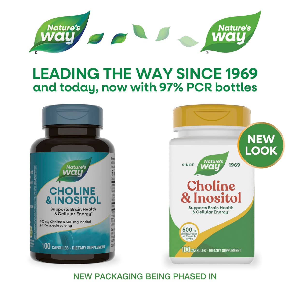 Nature'S Way - Cholin & Inositol - 100 Kapsler