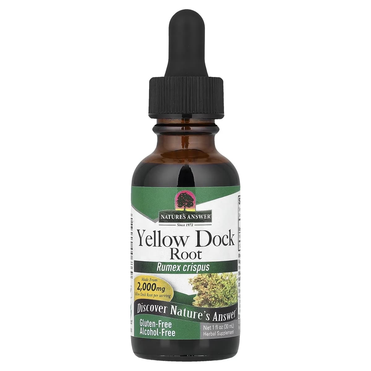 Nature's Answer - Yellow Dock Root - 30ml