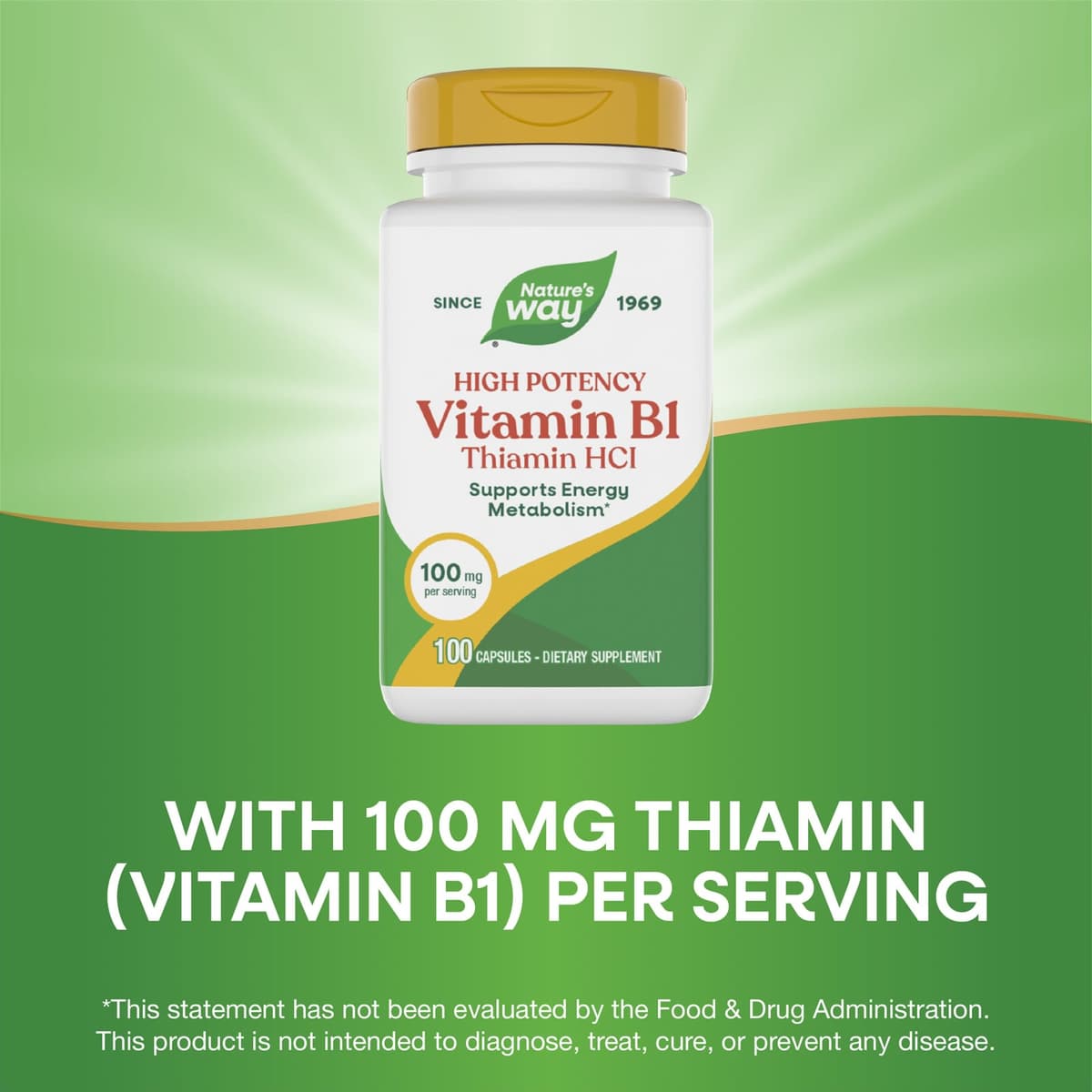 Nature's Way - Vitamin B-1 (Thiamin HCL) - 100 Caps