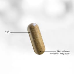 Codeage Liposomaattinen Turkesteroni - 120 V-kapselia - 120 Kasviskapselia
