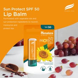 Himalaya - Sun Protect Spf 50 Lip Balm - 4.5g