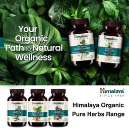 Himalaya Herbals - Bacopa - 60 Tabs