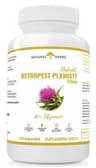 Natural Herbs - Milk Thistle Extract