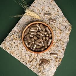 Nutriversum Shilajit - 60 Caps