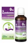 Flos - Żywokostowy Z Gojnikiem NA Bazie Oleju Lnianego - 50ml