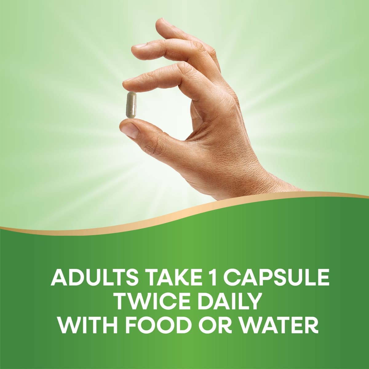 Nature's Way - Olive Leaf Premium Extract - 60 Caps