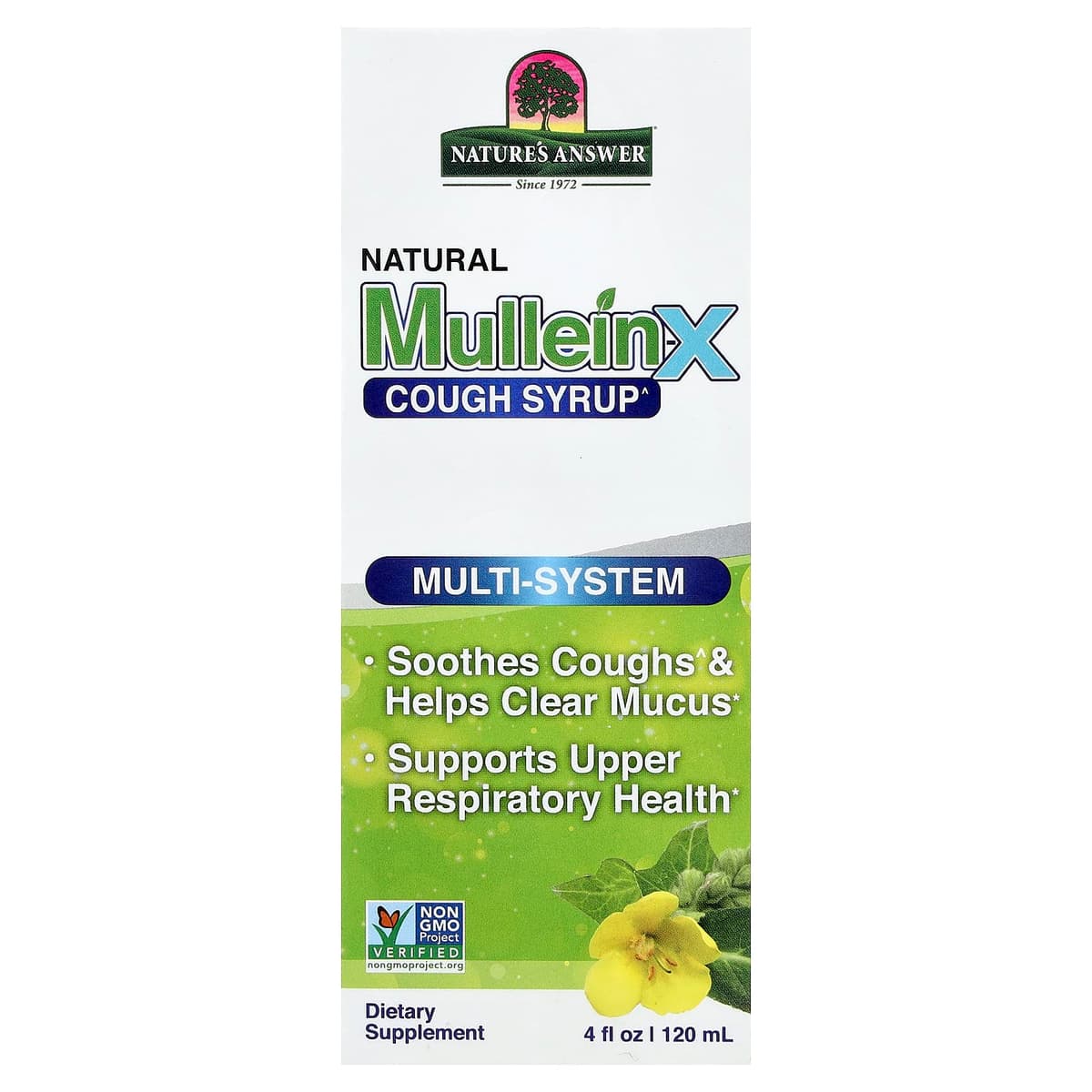 Nature's Answer - Mullein X Cough Syrup - 4 Fl oz | 120ml