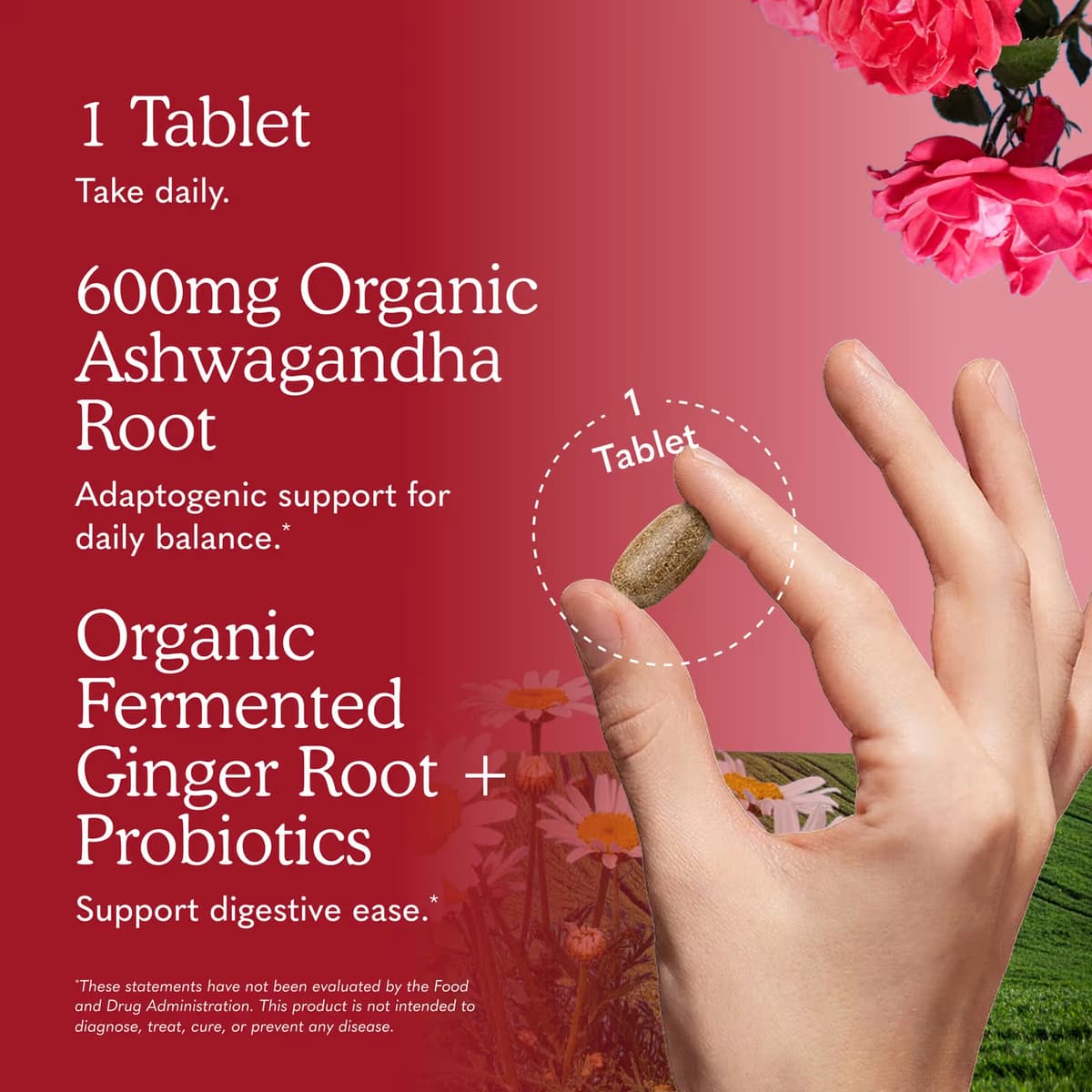 Garden Of Life - Mykind Ashwagandha - 60 Vegan Tabs
