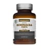 Singularis - Echinacea Forte - 60 Caps