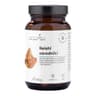 Aura Herbals - Reishi Spores - 60 Caps
