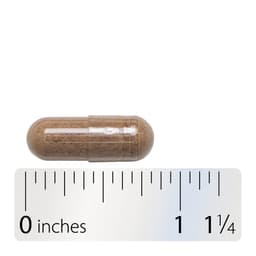 Nature'S Way - Horse Chestnut Premium Extract - 90 Caps