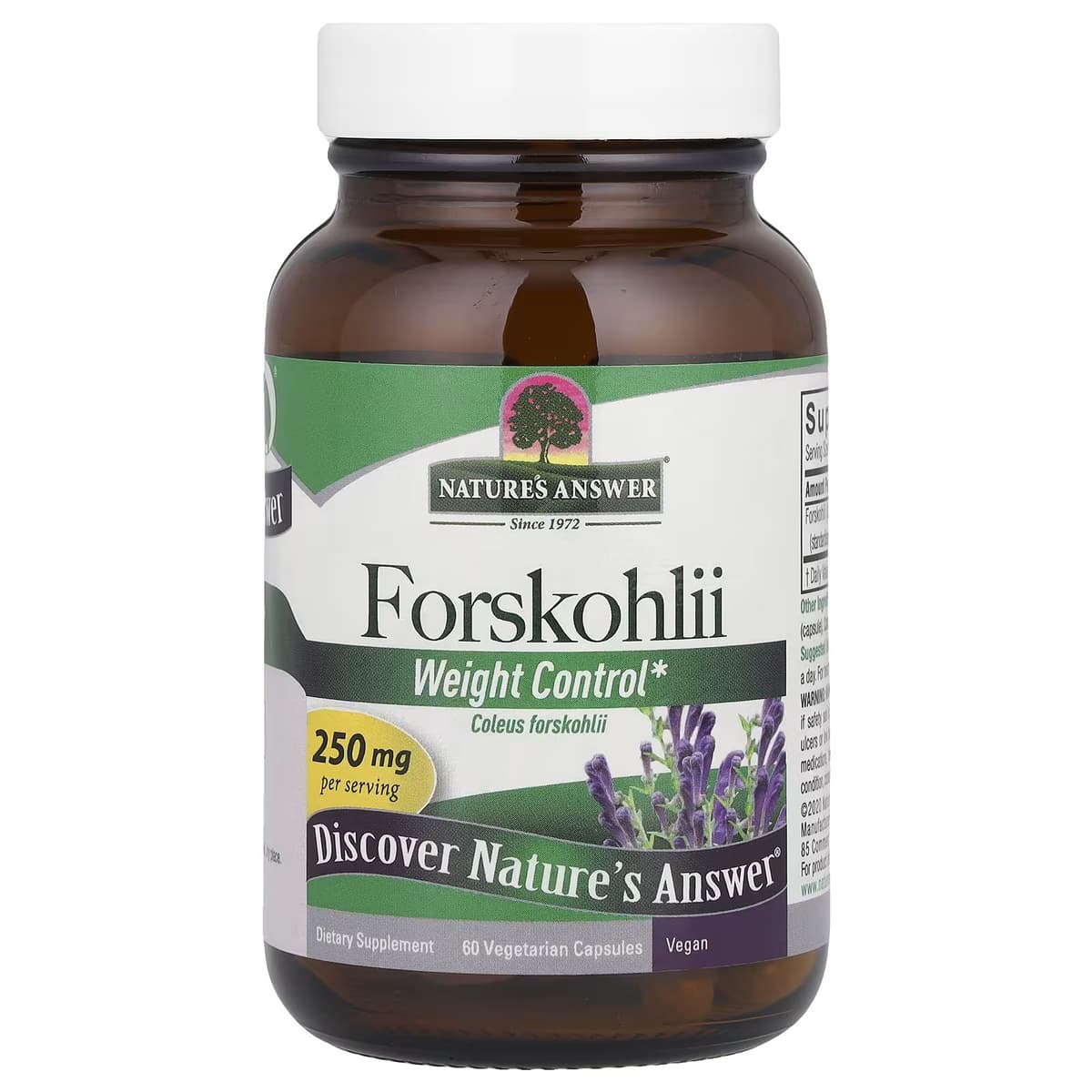 Nature's Answer - Forskohlii Painonhallinta - 60 Vcaps