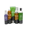 Pro Tan - Male Competitor Kit