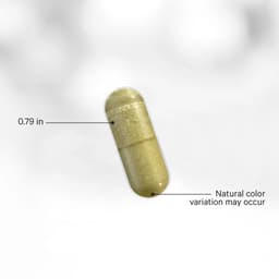Codeage Liposomal NMN Platinum - 90 Vcaps - 90 Vegetabilske Kapsler