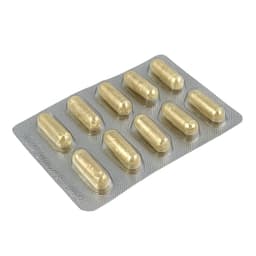 XENICO PHARMA - Ginkomag Plus 120 Vcaps