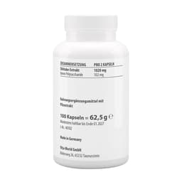 Vitaworld - Shiitake Extract - 100 Caps