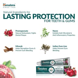 Himalaya - Ayurvedic Dental Cream - 100g