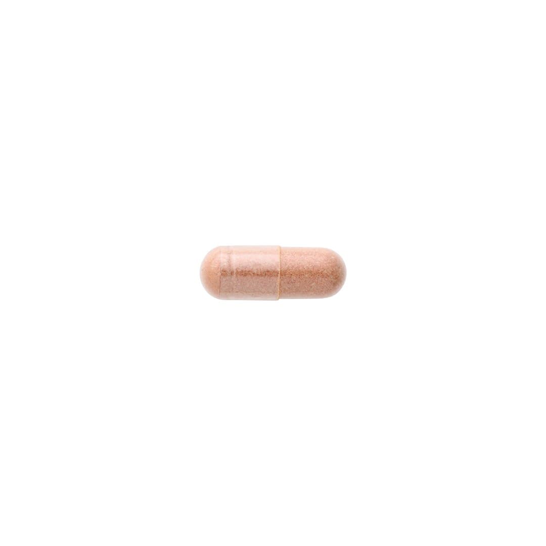 Swanson - Pycnogenol - 50 Caps