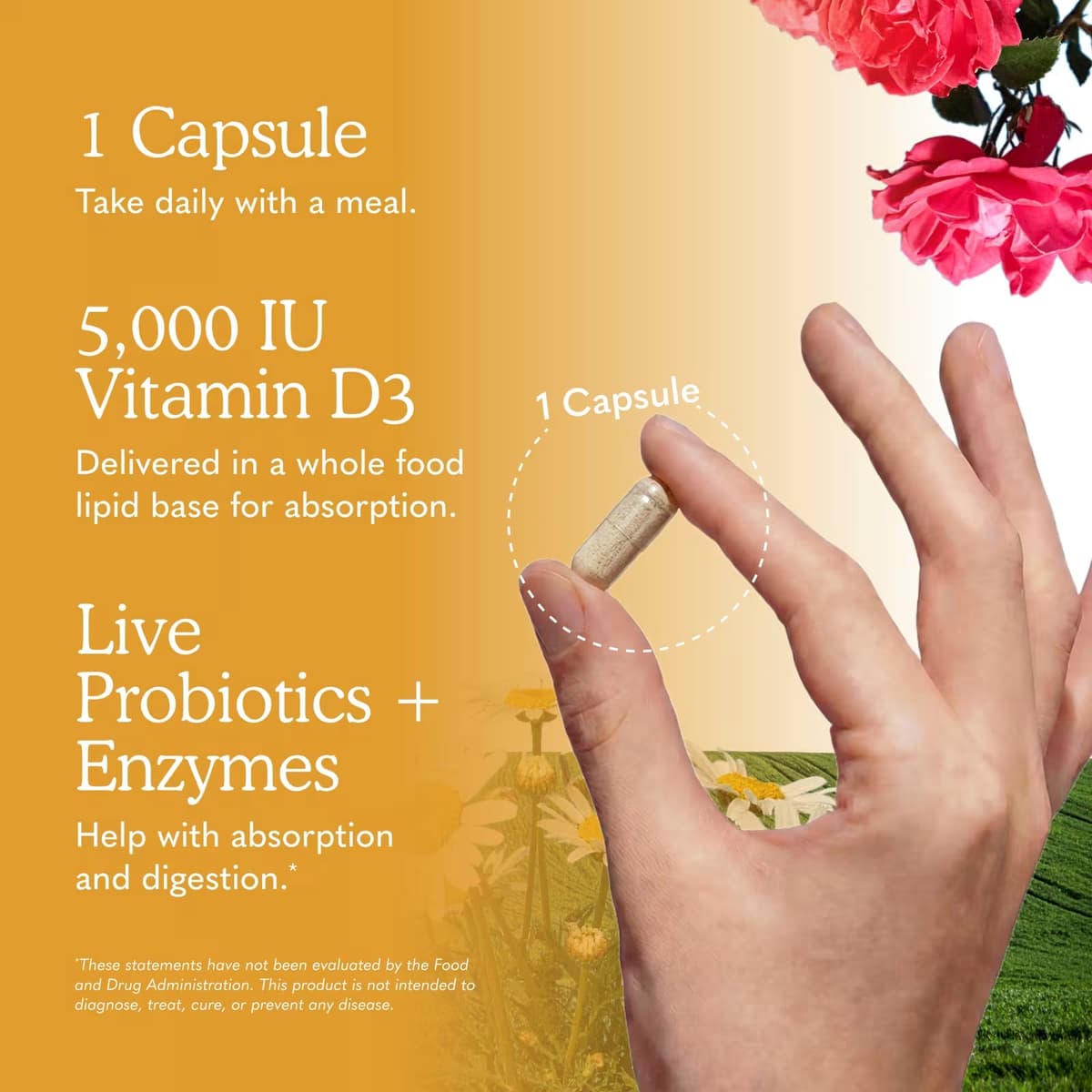 Garden Of Life - Vitamin Code Raw D3 - 60 Vcaps