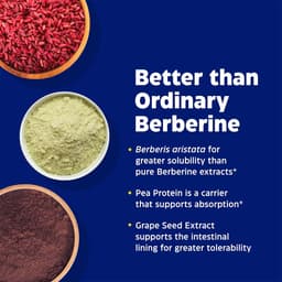 Enzymedica - Berberine Phytosome - 60 Caps