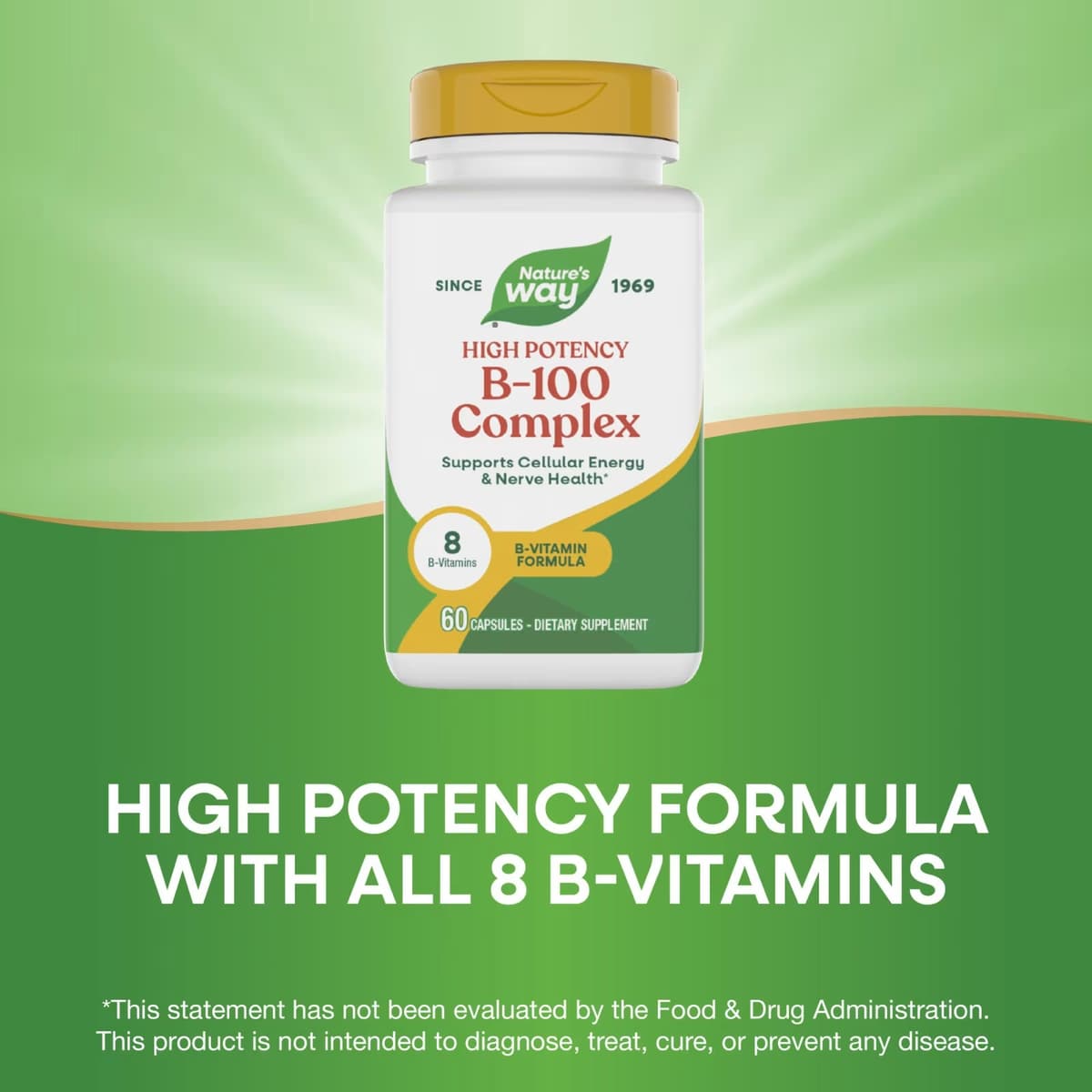 Nature'S Way - Vitamin B-100 Complex - 60 Caps