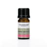 Tisserand Aromatherapy - Jasmine Absolute - Essential Oil