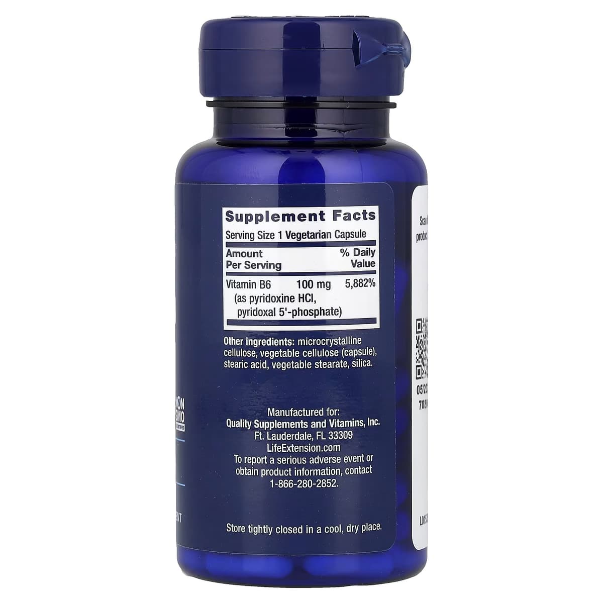 Life Extension - Vitamin B6 - 100 Vegetarian Capsules
