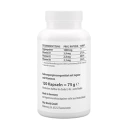 Vitaworld - Ginger - 120 Kapseln (120 Caps)